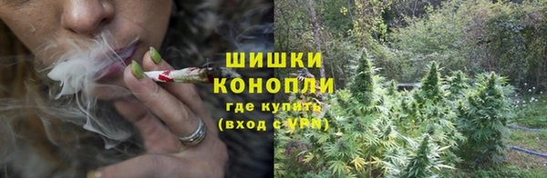 прущие крисы Магадан